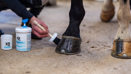 K9 Hoof brush